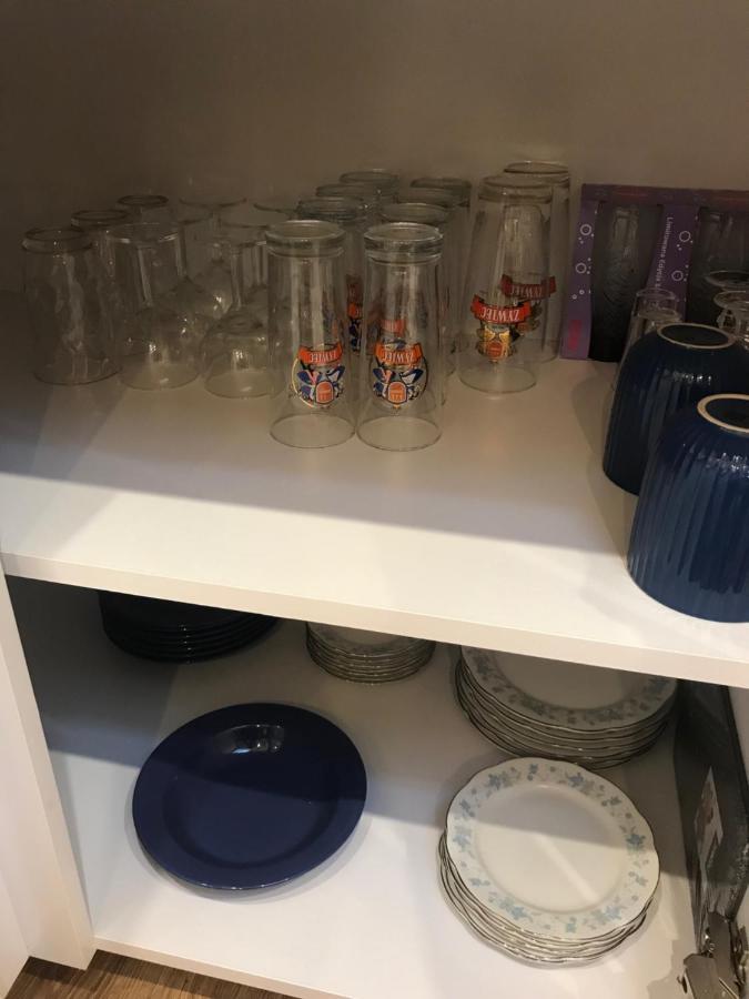 Apartament Ko-Piernika W Toruniu, W Sercu Torunskiej Starowki エクステリア 写真