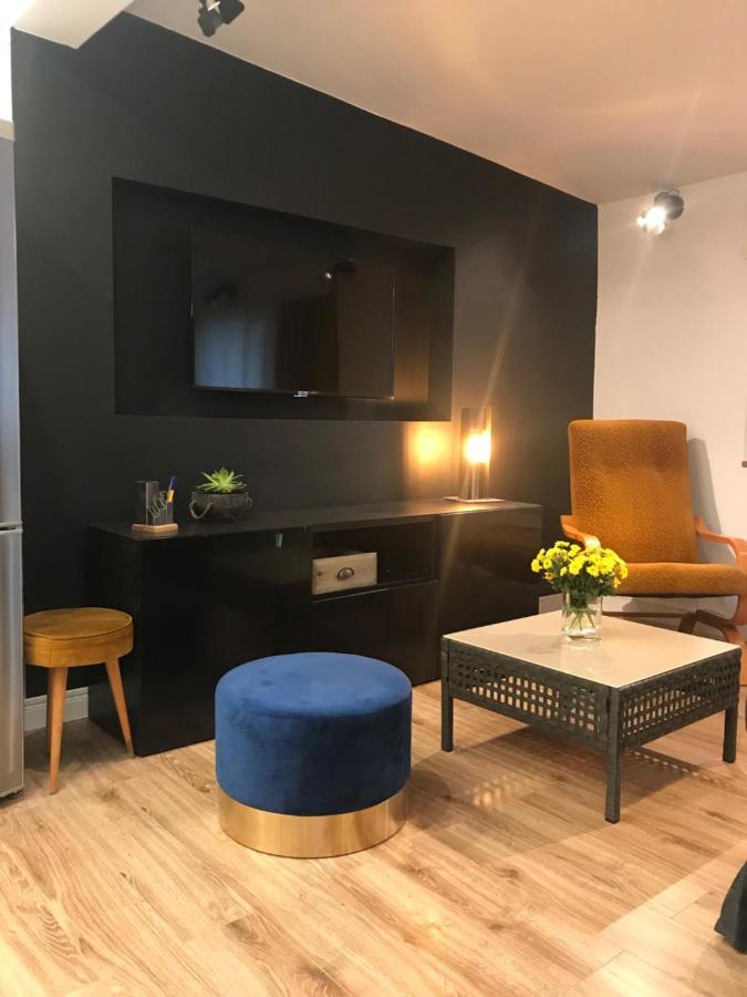 Apartament Ko-Piernika W Toruniu, W Sercu Torunskiej Starowki エクステリア 写真