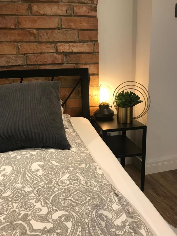 Apartament Ko-Piernika W Toruniu, W Sercu Torunskiej Starowki エクステリア 写真